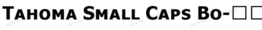 Tahoma Small Caps Bo字体转换